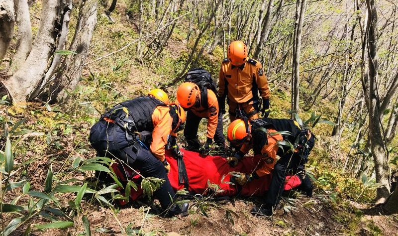 경북도, 봄철 산악안전사고 주의 당부 산악 안전사고의 25.4%가 4월~6월 발생