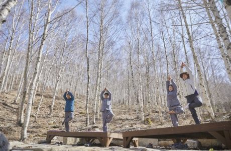 ‘국립김천치유의 숲’, ‘영덕 인문힐링센터 여명’ 웰니스 관광지 선정