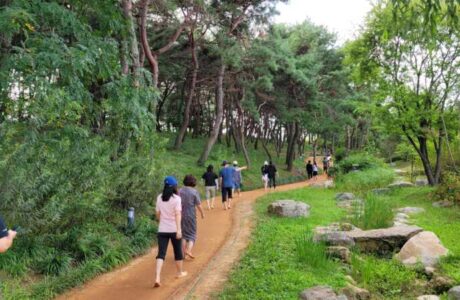 경북도청신도시 천년숲, “2023년 대한민국 최우수 도시숲”선정