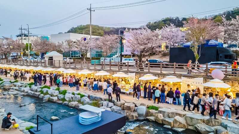 구미시, 22일부터 26일까지 5일간 금오천 벚꽃 페스티벌 개최