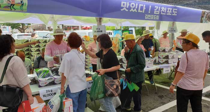 경북 시군간 축제교류 협력으로 자두포도축제에 도민 1천여명 참가